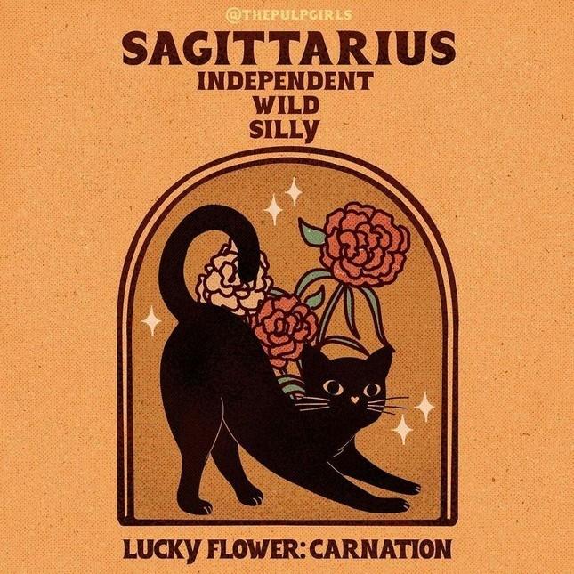 Nét cuốn hút độc quyền 12 cung hoàng đạo khiến người đối diện si mê-9