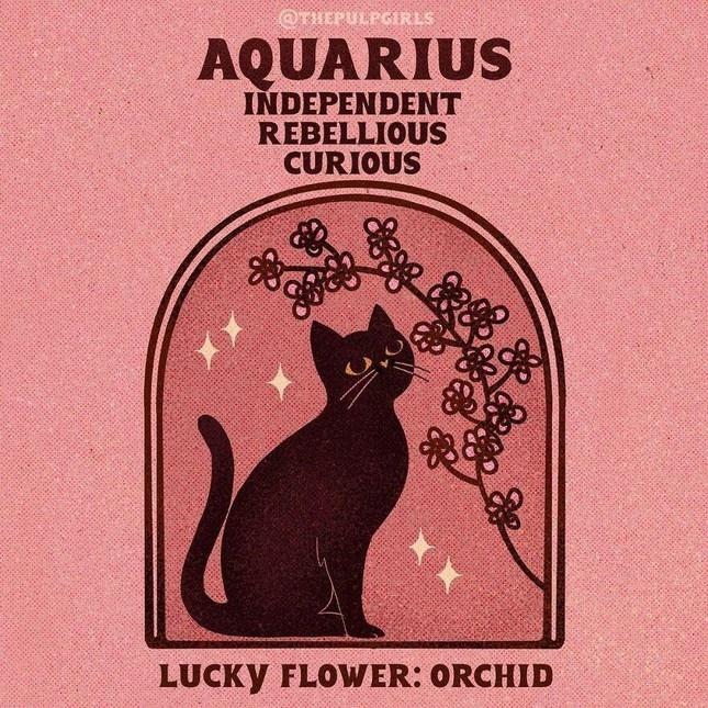 Nét cuốn hút độc quyền 12 cung hoàng đạo khiến người đối diện si mê-11