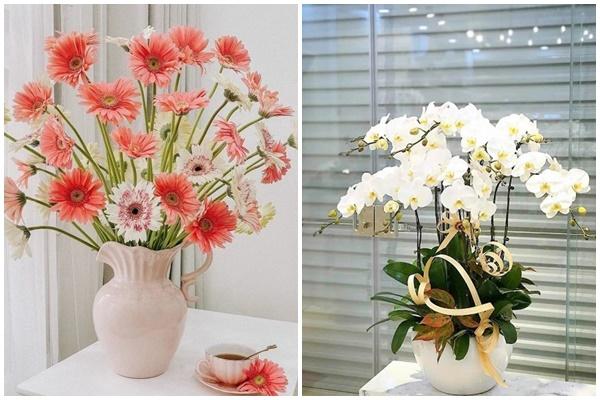 Nhà ở, nhà thuê hay nhà bán cần biết 3 tránh và 5 điểm phúc khí-4