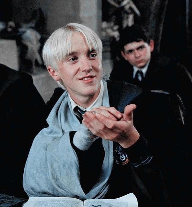 Nếu nhập học Hogwarts, 12 chòm sao sẽ sắm vai phù thủy tài ba nào?-3