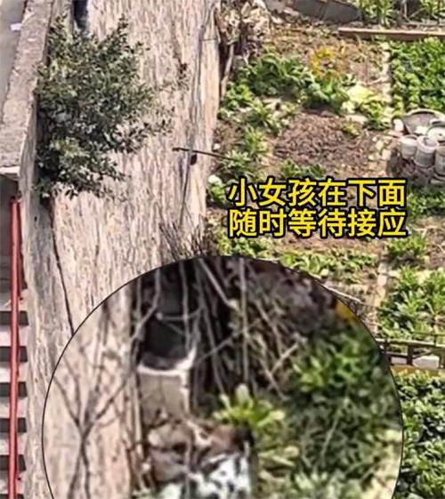 3 đứa trẻ liều mạng cứu bạn thoát chết trong gang tấc-2