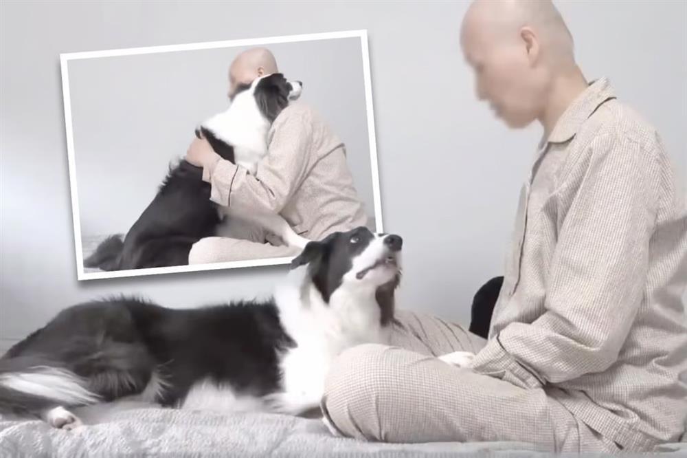 Chú chó quấn quýt bên cô chủ bị ung thư gây xúc động-1