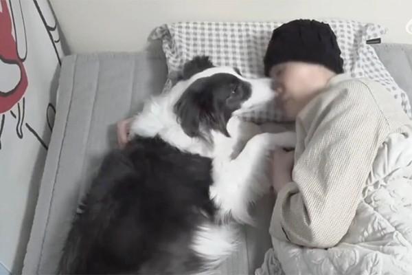 Chú chó quấn quýt bên cô chủ bị ung thư gây xúc động-2