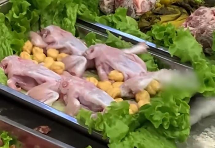 Vào nhà hàng, thực khách choáng váng món ếch cải tử hoàn sinh-1