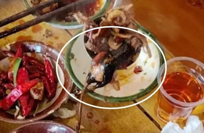 Ăn gần hết nồi lẩu thấy chuột chết bên trong, thực khách gọi cảnh sát-1