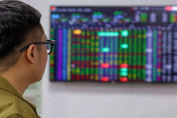 Cổ phiếu cuối cùng họ FLC bị đình chỉ giao dịch-1