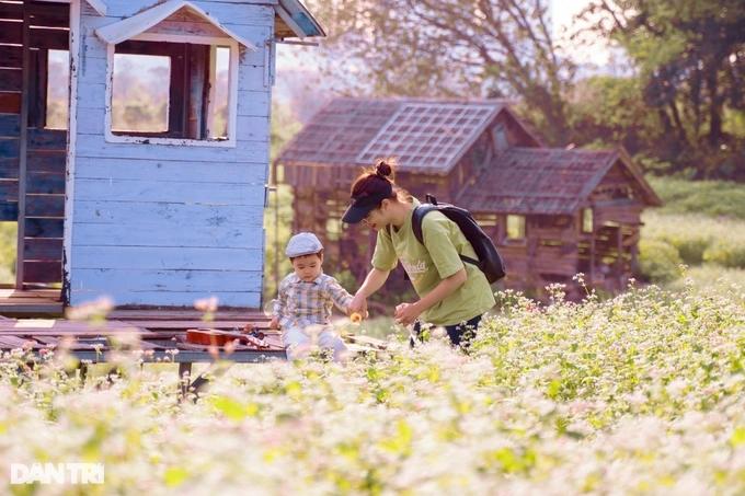 Khách đổ xô chụp ảnh cánh đồng tam giác mạch trái mùa ở Hà Nội-7