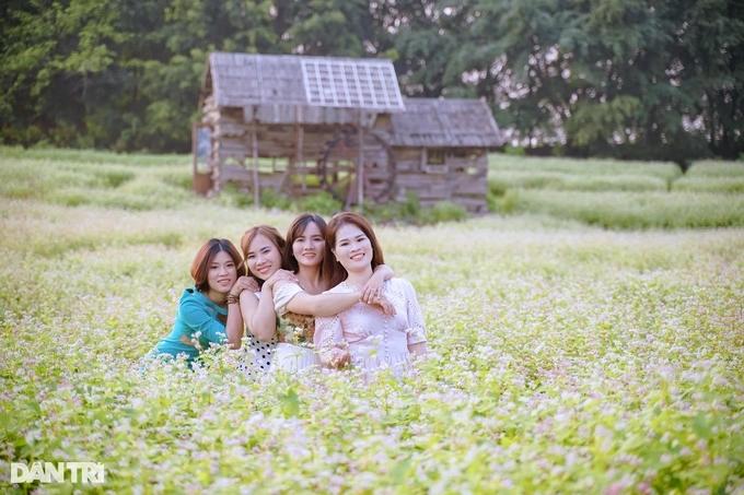 Khách đổ xô chụp ảnh cánh đồng tam giác mạch trái mùa ở Hà Nội-9