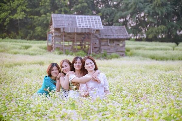 Hoa tam giác mạch nở vào tháng mấy?-5