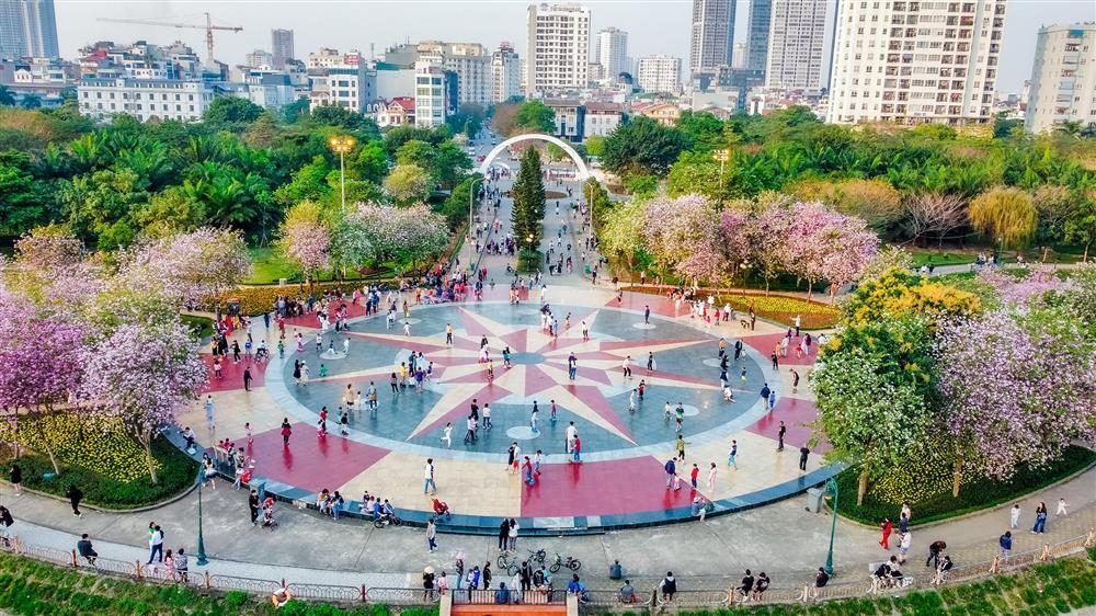 Hoa ban phủ tím góc công viên Hà Nội, cảnh đẹp ngỡ ngàng như trời Âu-5