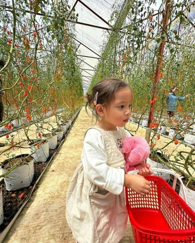 Bật cười lý do 2 nhóc tỳ nhà Hồ Ngọc Hà - Kim Lý trốn học-3