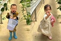 Bật cười lý do 2 nhóc tỳ nhà Hồ Ngọc Hà - Kim Lý trốn học