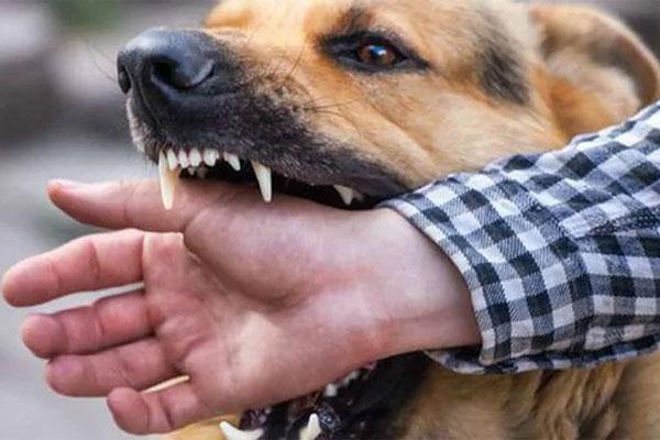 Cô gái trẻ và cha dượng tử vong bất thường trong phòng trọ ở TP.HCM-2