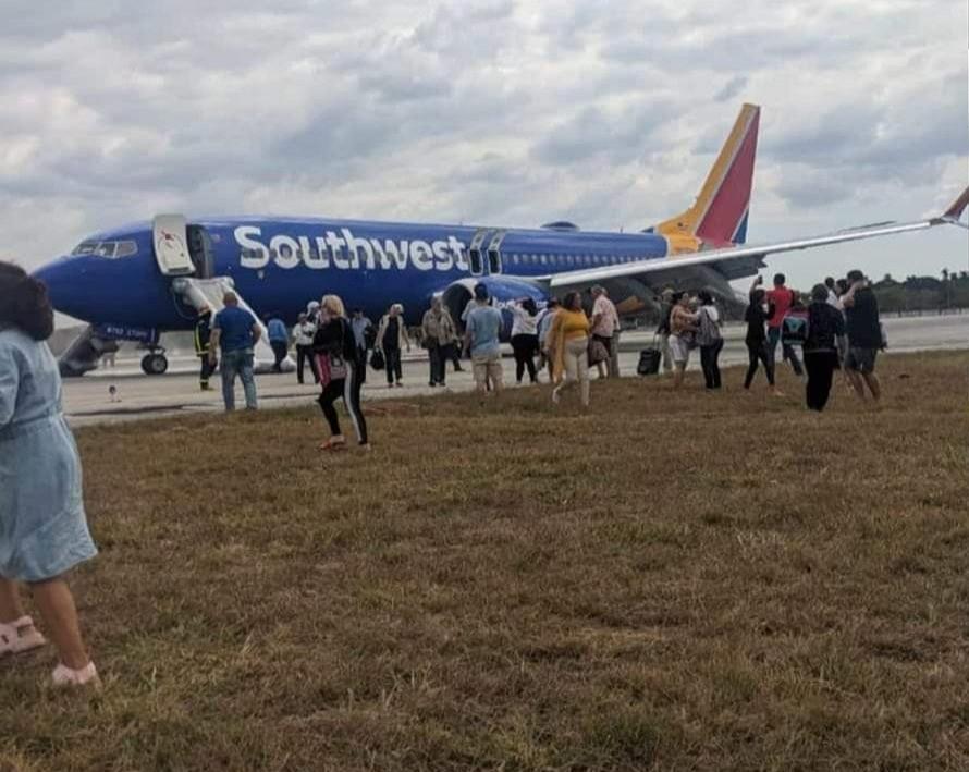 Máy bay bốc khói mù mịt, hạ cánh khẩn cấp vì đâm trúng chim-3