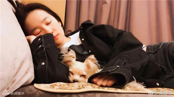 Lưu Diệc Phi để mặt mộc đi mua sắm tại Paris-4