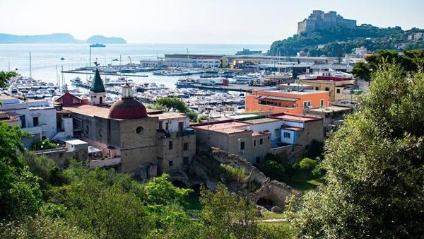 Bí ẩn cây vả được trồng lộn ngược từ trên cao xuống đất-3