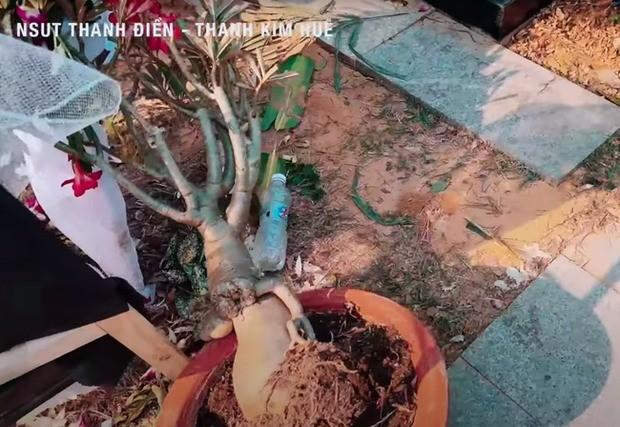 Gia đình NSƯT Vũ Linh xin lỗi, hứa tu sửa mộ phần nghệ sĩ Thanh Kim Huệ-2