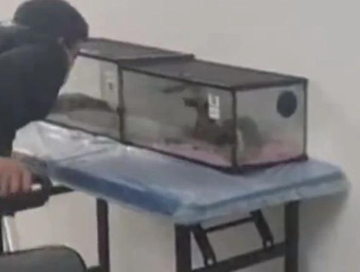 Mua vé thủy cung cho con chơi, tới nơi người mẹ phẫn nộ tố cáo-1