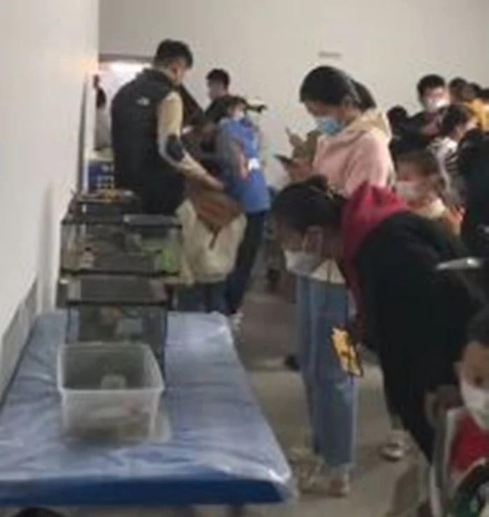 Mua vé thủy cung cho con chơi, tới nơi người mẹ phẫn nộ tố cáo-2