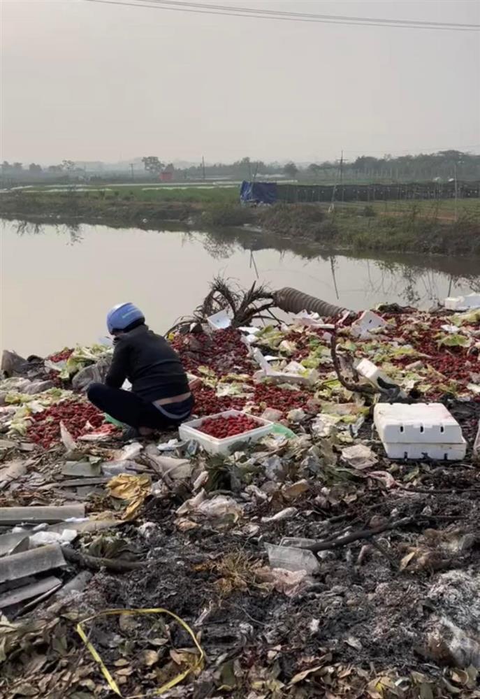 Xôn xao 2 phụ nữ nhặt dâu tây ở bãi rác, xong mang đi đâu?-2