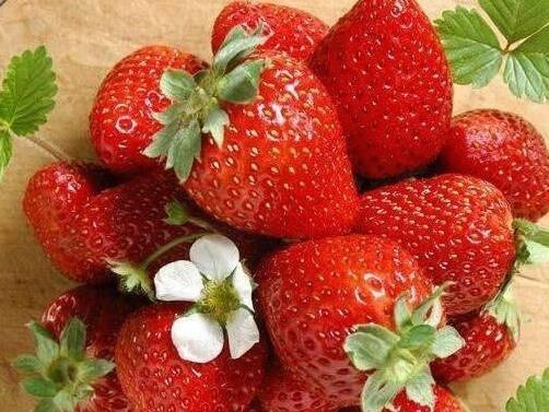 Trắc nghiệm tâm lý: Loại quả yêu thích tiết lộ thời điểm bạn giàu có-1