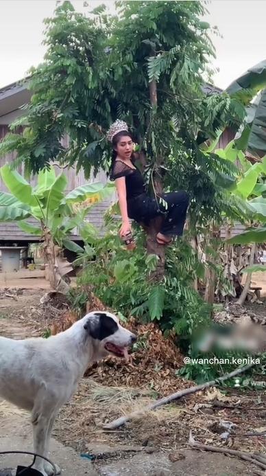 Thí sinh Miss Grand Thái đu cây, bôi mặt, uống mắm để giành suất intop-5