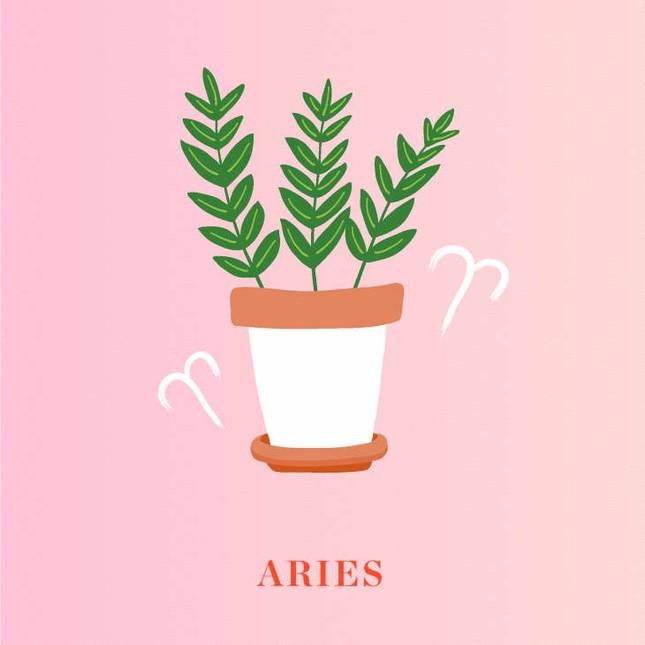 Sao Kim tiến vào cung Kim Ngưu: Trái tim bạn đã sẵn sàng đón nhận tín hiệu vũ trụ?-1