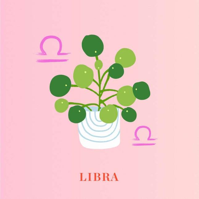 Sao Kim tiến vào cung Kim Ngưu: Trái tim bạn đã sẵn sàng đón nhận tín hiệu vũ trụ?-7