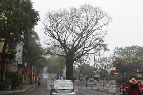 Miền Bắc sắp hửng nắng, nền nhiệt tăng-2