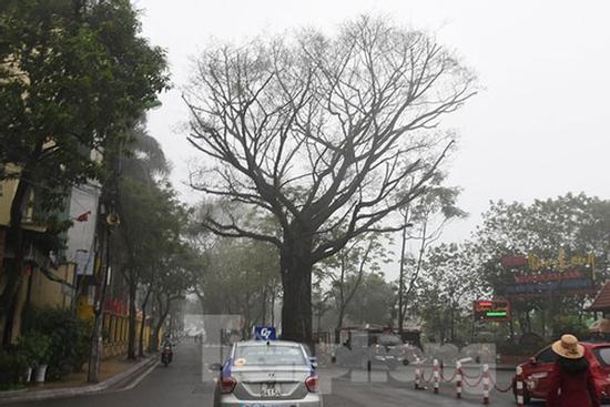 Miền Bắc âm u, sương mù đến bao giờ?