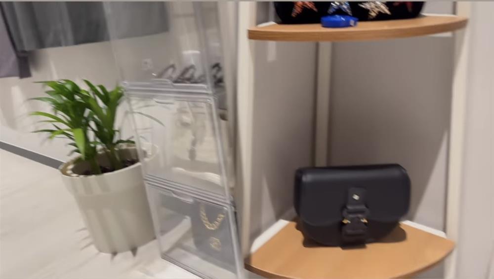 Bất ngờ với cách Hari Won bảo quản túi gần 1 tỷ chồng tặng-1