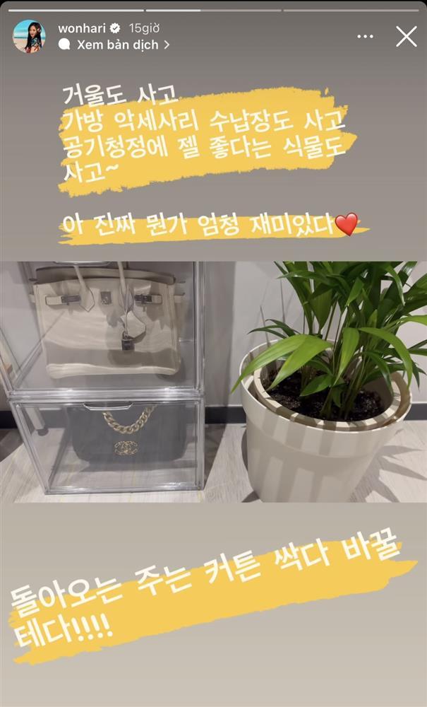 Bất ngờ với cách Hari Won bảo quản túi gần 1 tỷ chồng tặng-5