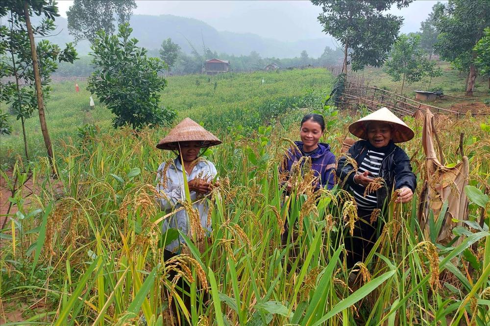 Kỳ lạ phong tục cưới 3 lần, người mất cũng được tổ chức lễ cưới-9