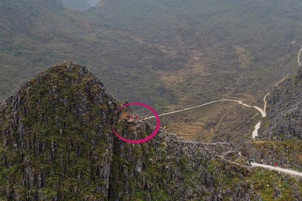 Tinh tinh hành động như người, khách tham quan phát hoảng-2