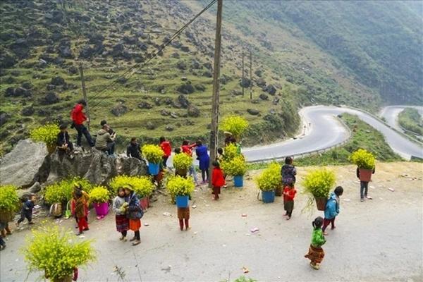 Công an mời bà Hoàng Hường lên làm việc vì 2 phát ngôn gây sốc-1
