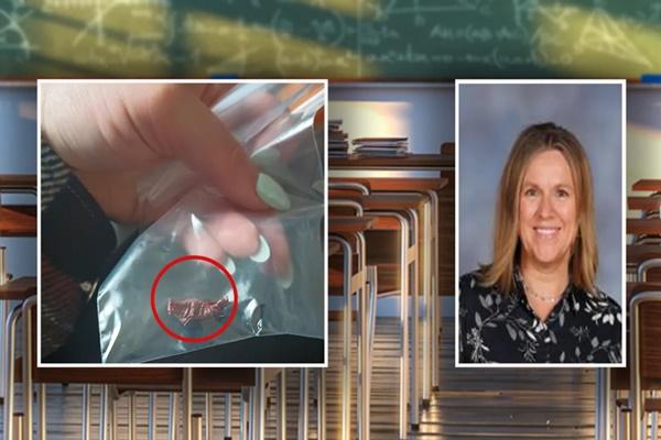 Vụ côn trùng trong bữa sáng trường tư: Đuổi việc nhân viên trực khu đồ ăn-2