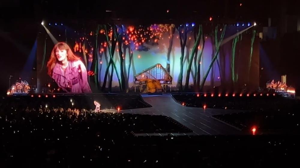 The Eras Tour: Taylor Swift xây nhà, trồng rừng, đang hát bỗng bơi đi mất-2
