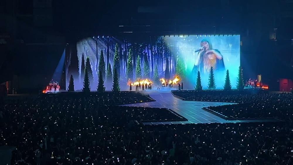 The Eras Tour: Taylor Swift xây nhà, trồng rừng, đang hát bỗng bơi đi mất-3