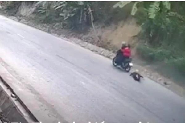 Bắt giữ đối tượng cướp xe máy, kéo lê cụ bà trên đường rồi bỏ chạy-1