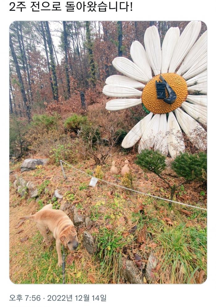 Nghi vấn G-Dragon ngược đãi thú cưng được làm sáng tỏ-3