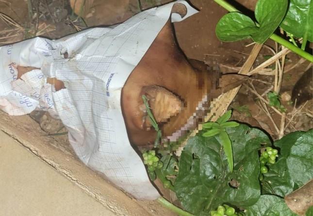 Một nhà báo bị đe dọa, khủng bố bằng đầu chó kẹp tối hậu thư-2