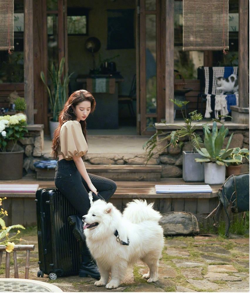 Á hậu Phương Nhi cosplay Lưu Diệc Phi xinh không kém gì bản gốc-2