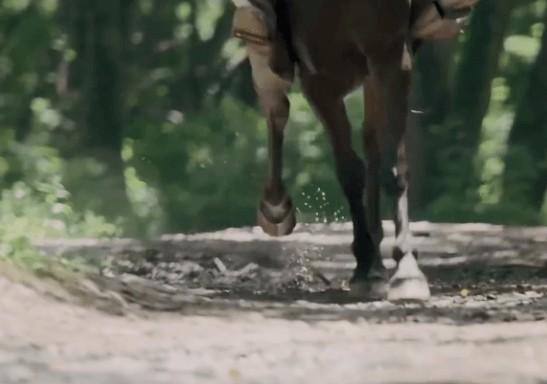 Tay giả, chân giả và những mánh khóe truyền hình Trung Quốc-5