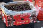 Sự thật cherry siêu rẻ 'bao ngon', dâu tây Trung Quốc thành hàng Đà Lạt