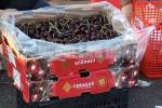 Loại cherry này có gì đặc biệt mà hộp 15 quả có giá hơn 82 triệu đồng-2