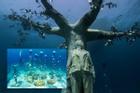 Choáng ngợp vẻ đẹp 'bảo tàng dưới nước' đầu tiên trên thế giới