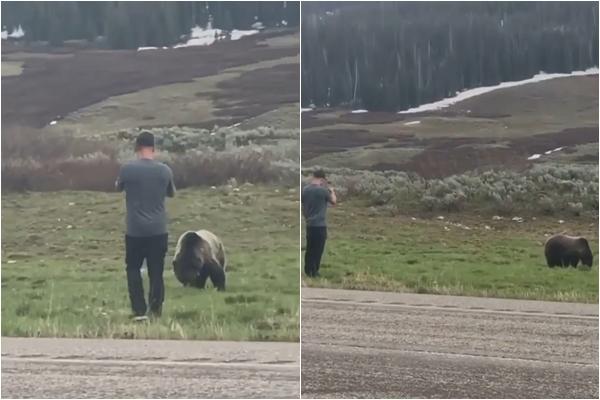 Bất chấp tính mạng, nam du khách lao lên chụp ảnh gấu ăn-1