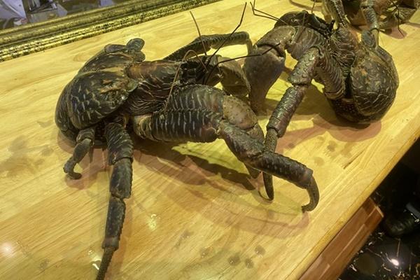 Người tạo ra món cua sốt ớt biểu tượng Singapore, ai đến cũng muốn thử-3