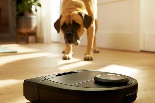 Lên mạng hỏi cách tìm lại con robot bị mất tích, dân mạng phản ứng hài-2