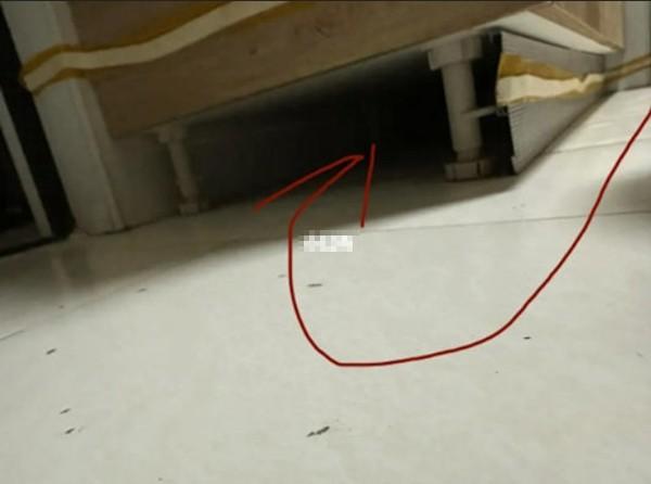 Lên mạng hỏi cách tìm lại con robot bị mất tích, dân mạng phản ứng hài-3